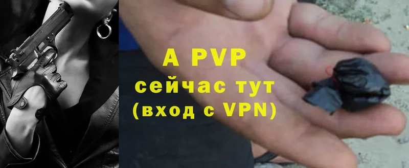 Alfa_PVP СК КРИС Динская